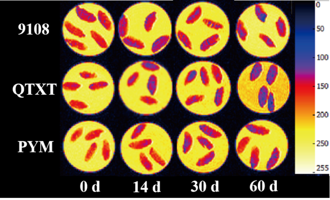 “时搏官方网页版杯”江南大学优秀案例解析|不同冷冻储藏期速冻米饭水分分布变化规律探究